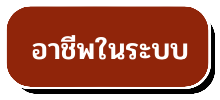 อาชีพในระบบ