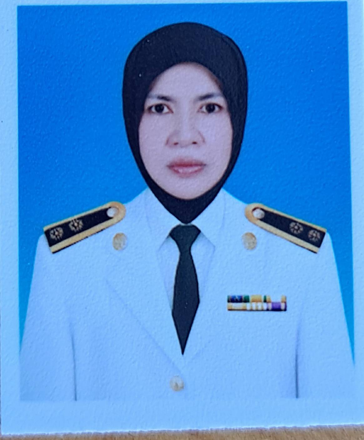 นางสาวประไพพิศ เชียรไชย