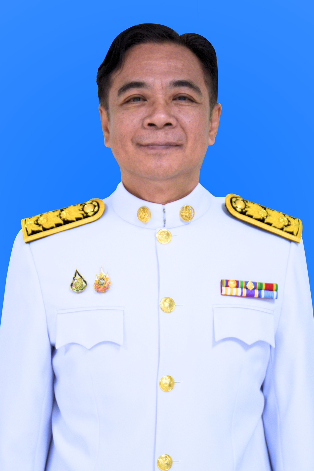 นายปรีชา ดุจจานุทัศน์